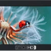 SmallHD Focus 5-inch On-Camera Monitor 1 SmallHD Focus 5-inch On-Camera Monitor -Camera Accessories 027131263277