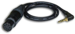 Beachtek XLR5F To Right-Angle 3.5mm TRS For DSMC2 17.7"