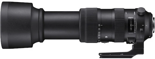 Sigma 60-600mm F/4.5-6.3 DG OS HSM Sports For Nikon 5 Sigma 60-600mm F/4.5-6.3 DG OS HSM Sports For Nikon - Image 3