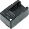 Sony BC-QM1 Charger