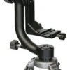 Wimberley Type II Gimbal Head