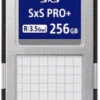 Sony 256GB SxS PRO+ D Series Memory Card -Camera Accessories 824917728081