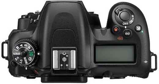 Yes! Nikon D7500 5 Yes! Nikon D7500 - Image 3