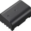 Panasonic DMW-BLF19 Battery 1 Panasonic DMW-BLF19 Battery -Camera Accessories 983888453002